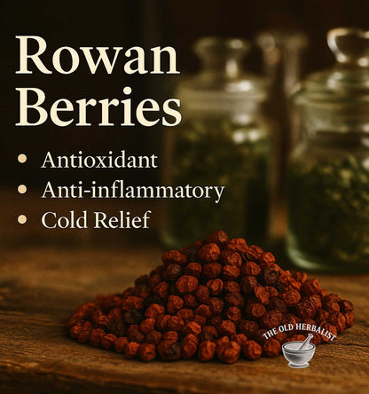 Whole dried rowan berries for tea and traditional use.