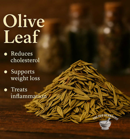 Loose olive leaf tea from Olea europaea plant.