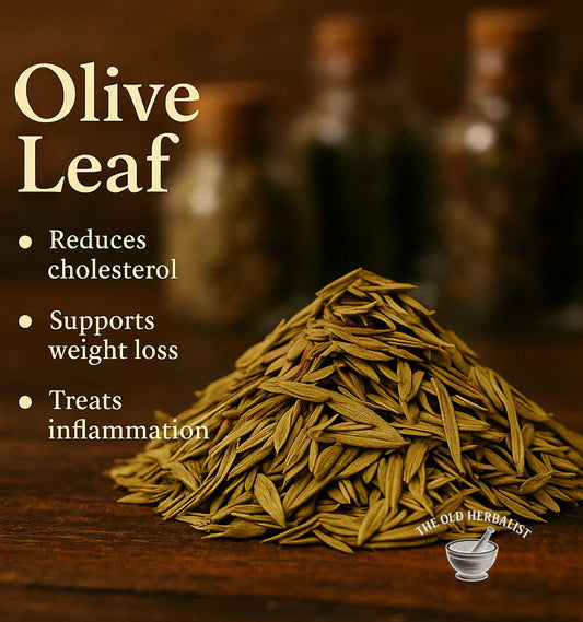 Loose olive leaf tea from Olea europaea plant.