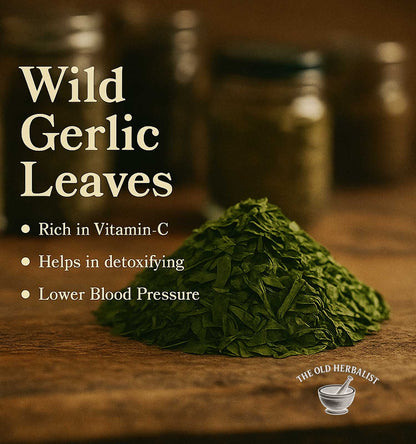 pile of Dried wild garlic with all the benefits