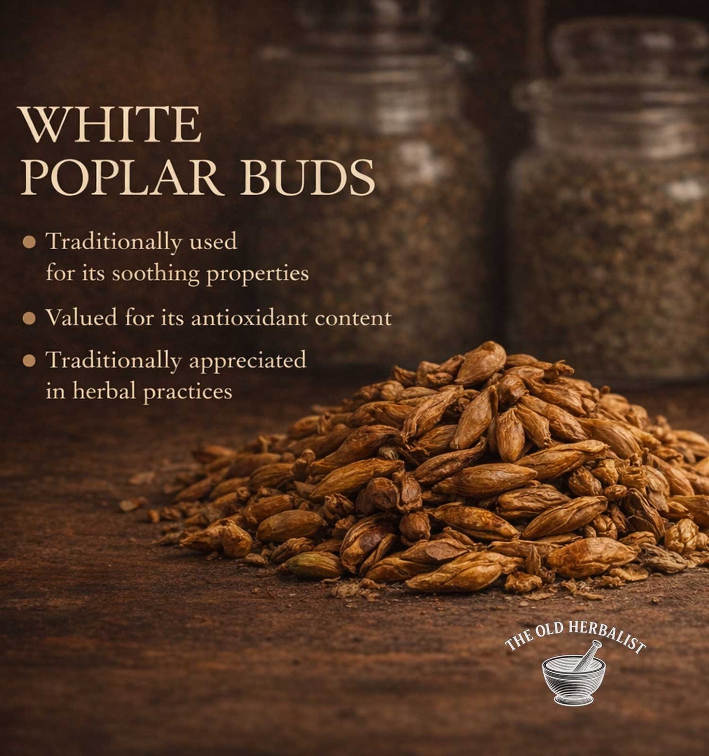 White poplar buds with text about their uses on a dark background, featuring 'The Old Herbalist' brand.