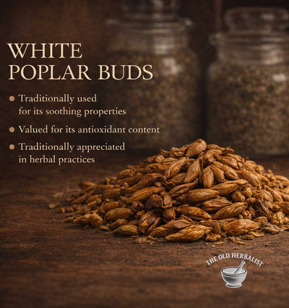 White poplar buds with text about their uses on a dark background, featuring 'The Old Herbalist' brand.