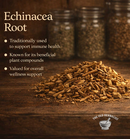 Echinacea root on a wooden surface with text about its benefits and The Old Herbalist logo.