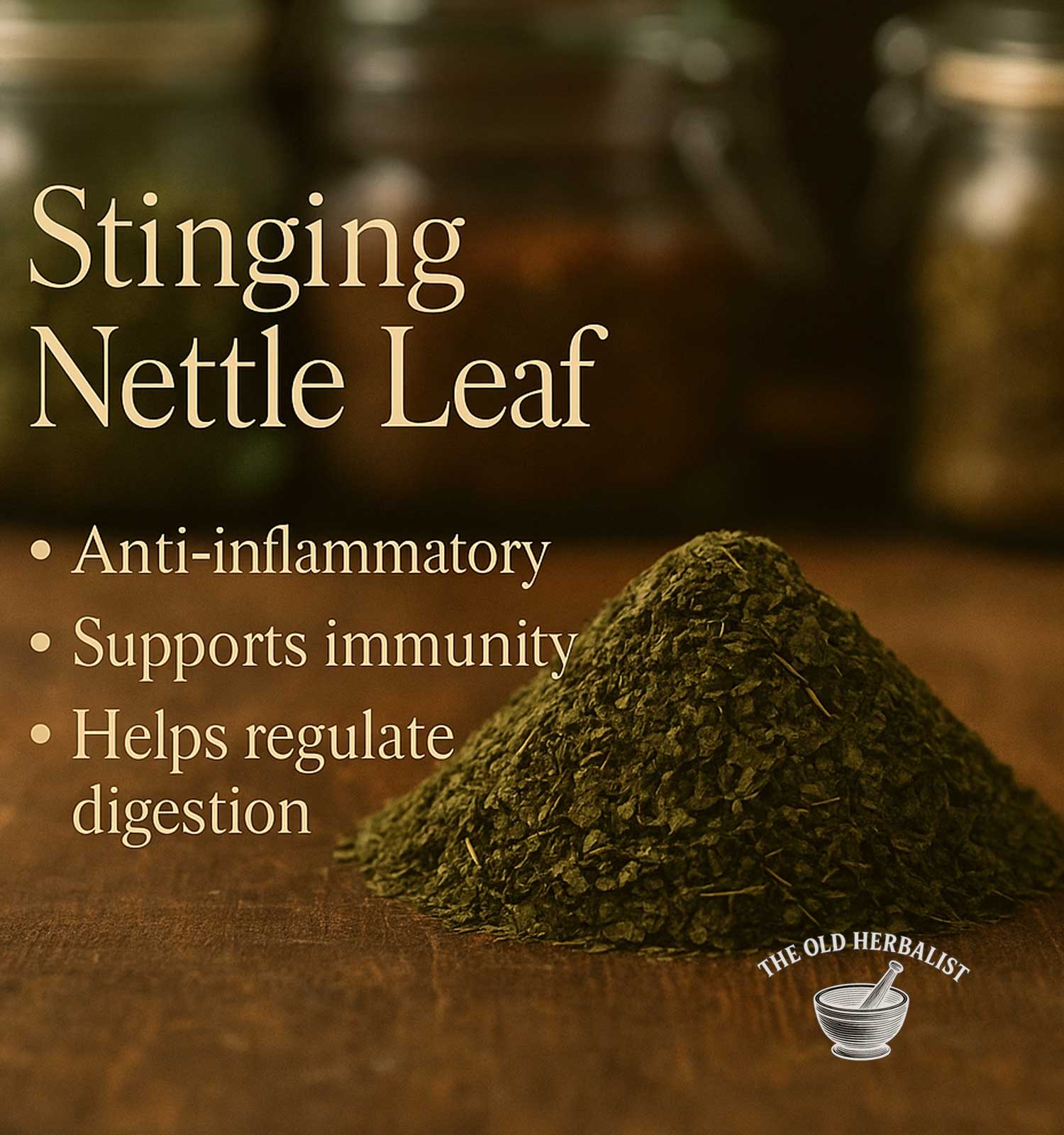 Stinging Nettle Leaf with benefits listed on a wooden surface, branded 'The Old Herbalist'.