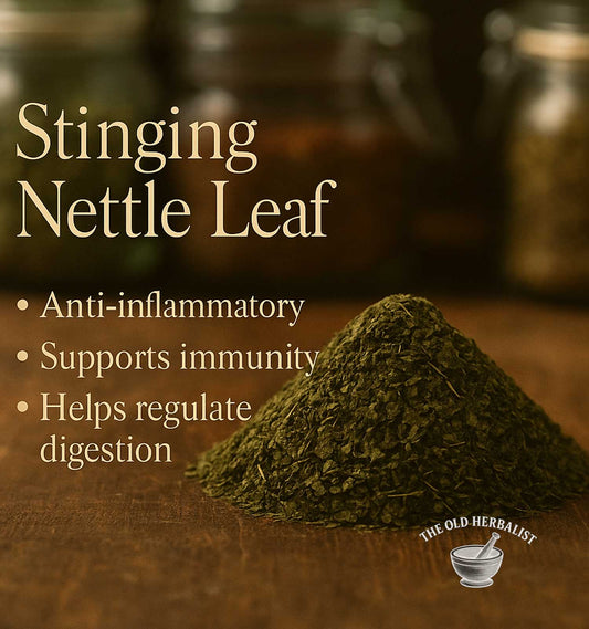 Stinging Nettle Leaf with benefits listed on a wooden surface, branded 'The Old Herbalist'.