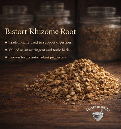 Bistort rhizome root on a wooden surface with text about its uses and The Old Herbalist branding.