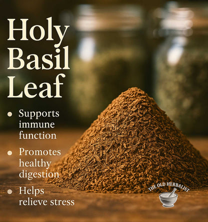 Pile of holy basil leaf powder with text highlighting benefits on a wooden surface.