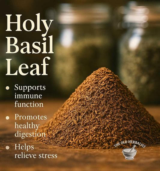 Pile of holy basil leaf powder with text highlighting benefits on a wooden surface.