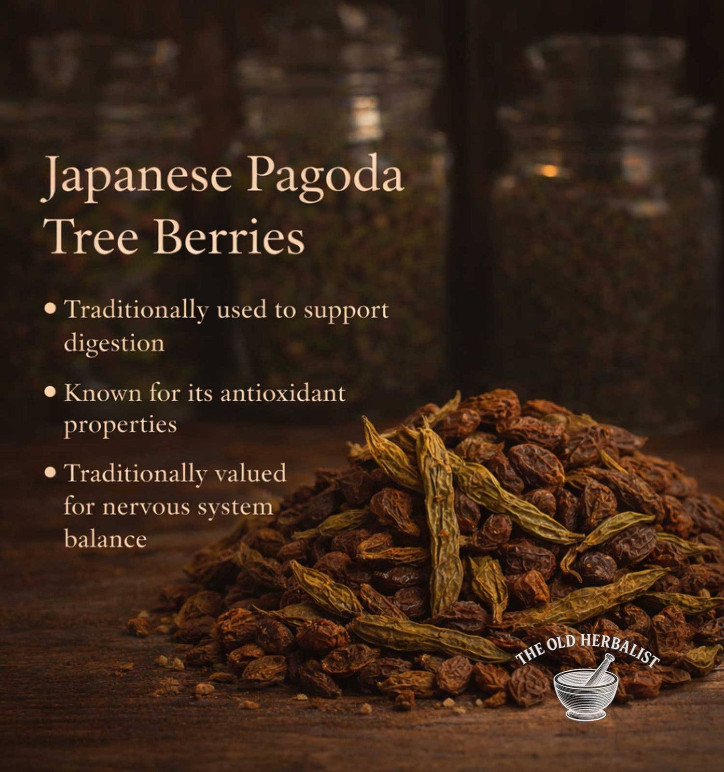 Japanese Pagoda Tree Berries with text about their uses on a dark background