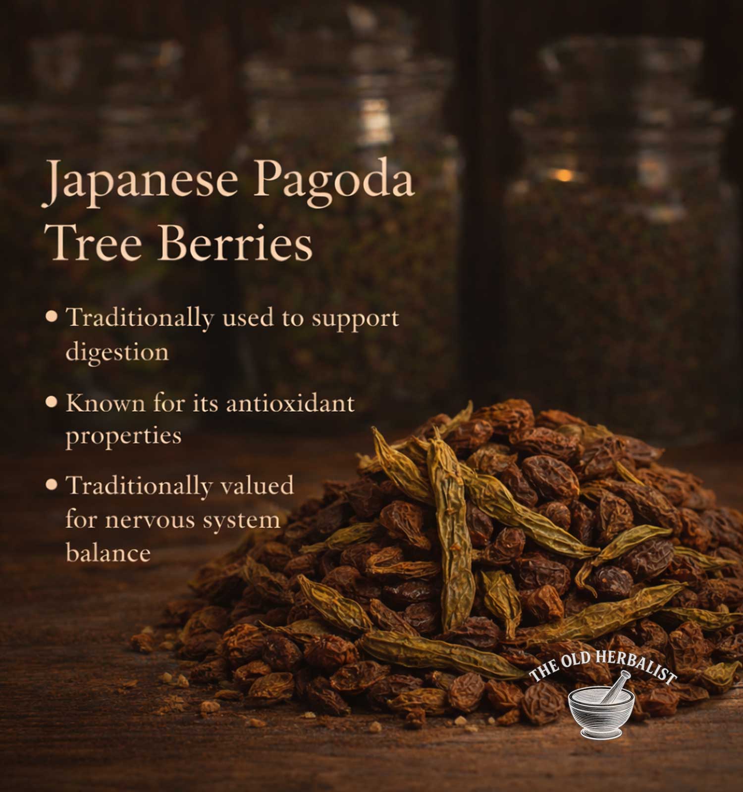 Japanese Pagoda Tree Berries with text about their uses on a dark background