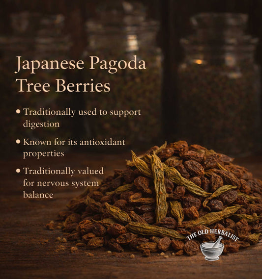 Japanese Pagoda Tree Berries with text about their uses on a dark background