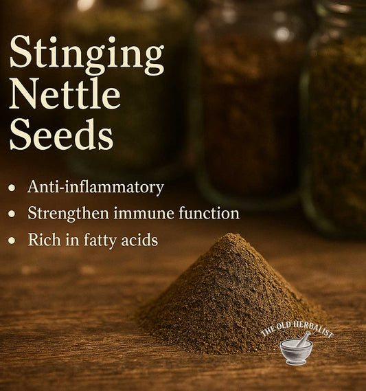 Stinging Nettle Seeds with health benefits text on a wooden surface, featuring The Old Herbalist logo.