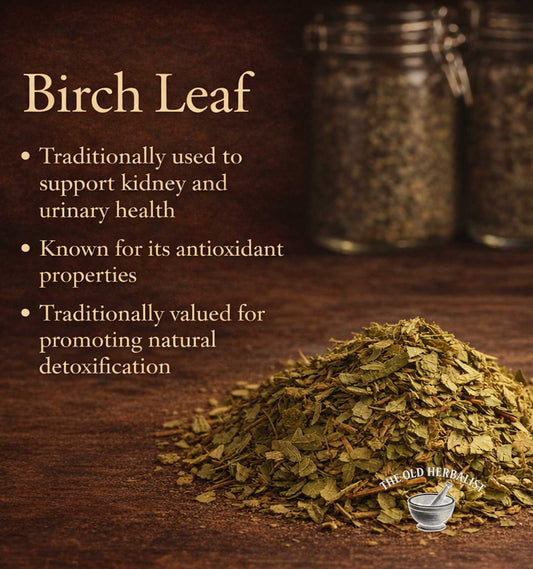 Birch leaf with text on its traditional uses and benefits, displayed on a wooden surface.