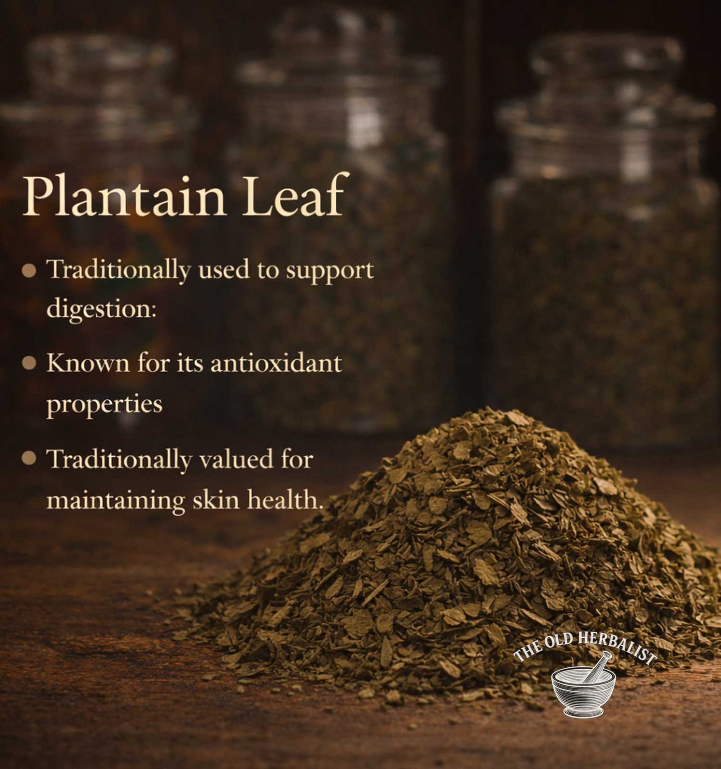 Heap of plantain leaves with text about its uses on a wooden surface, featuring 'The Old Herbalist' logo.