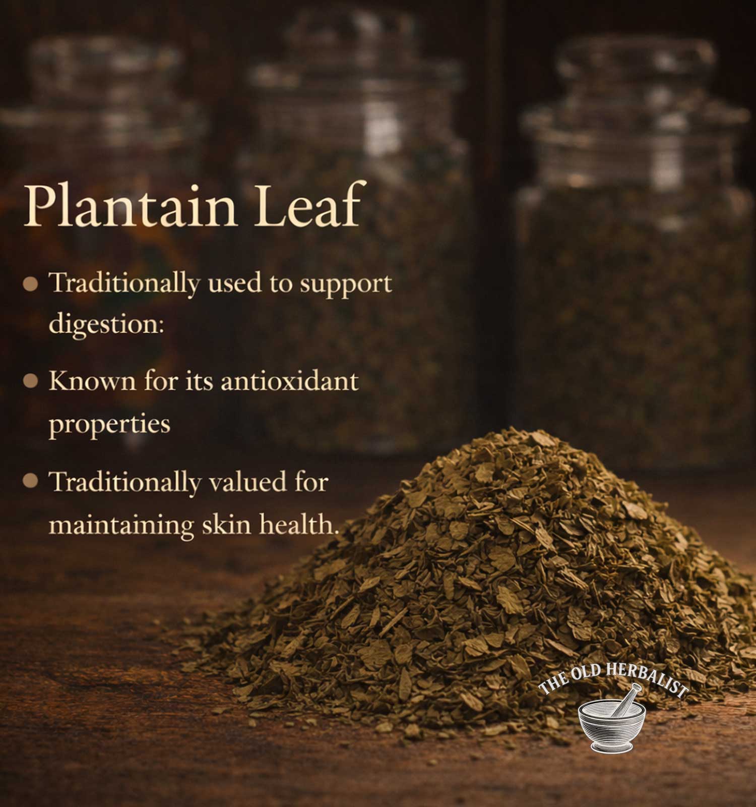 Heap of plantain leaves with text about its uses on a wooden surface, featuring 'The Old Herbalist' logo.