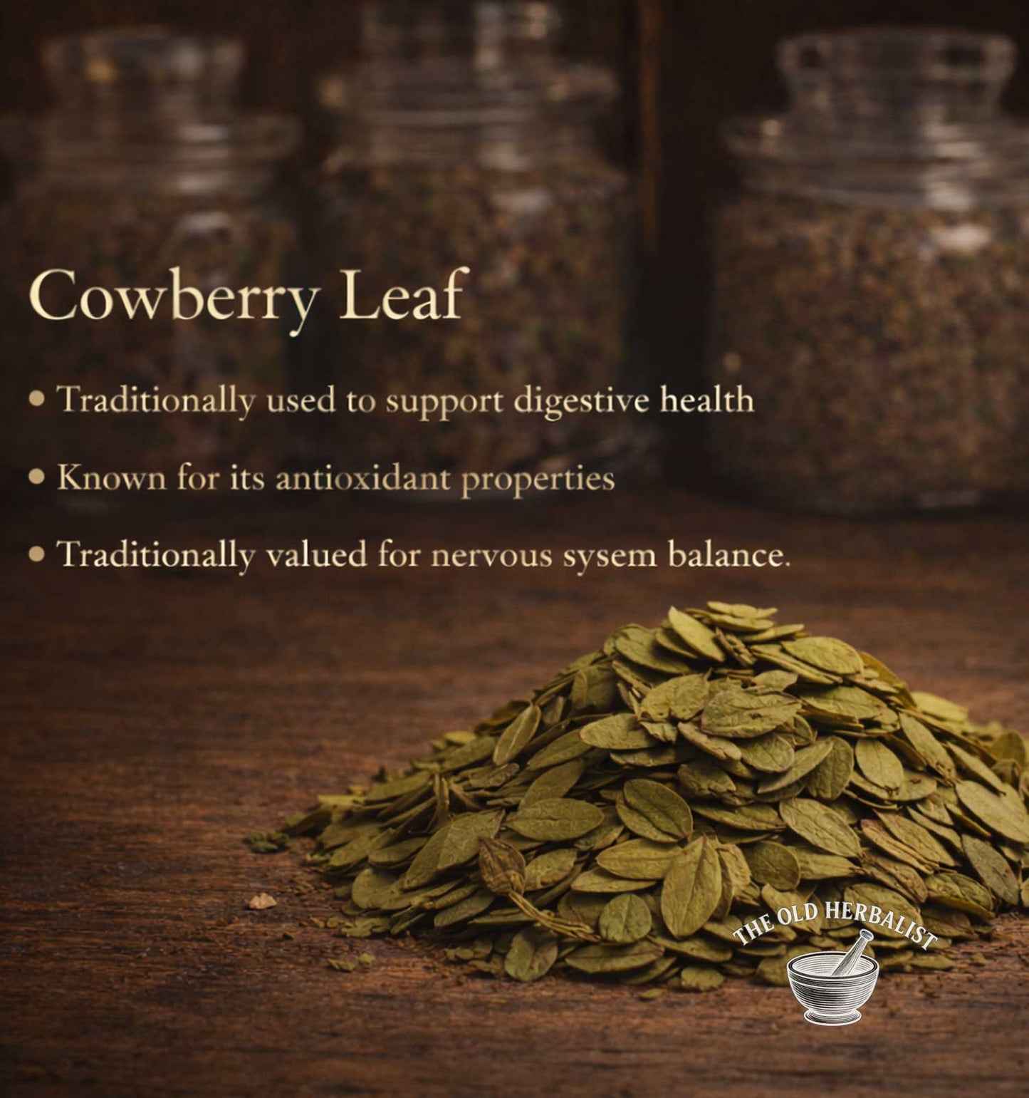 Cowberry leaf with text about its health benefits on a wooden surface, featuring The Old Herbals logo.
